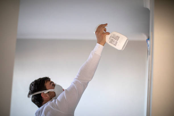 Best Local Mold Removal Service  in Mccaysville, GA