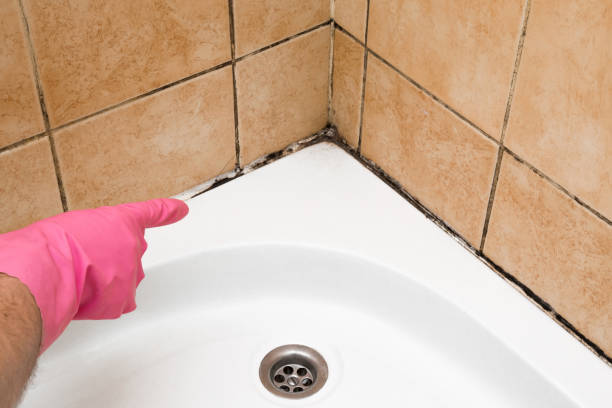 Best Professional Mold Removal  in Mccaysville, GA